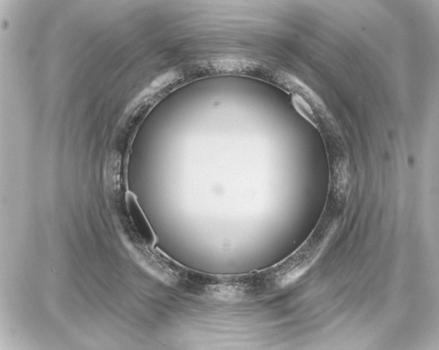 X0000087680356200705251649