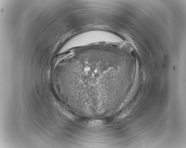 X0000087680357200705251649