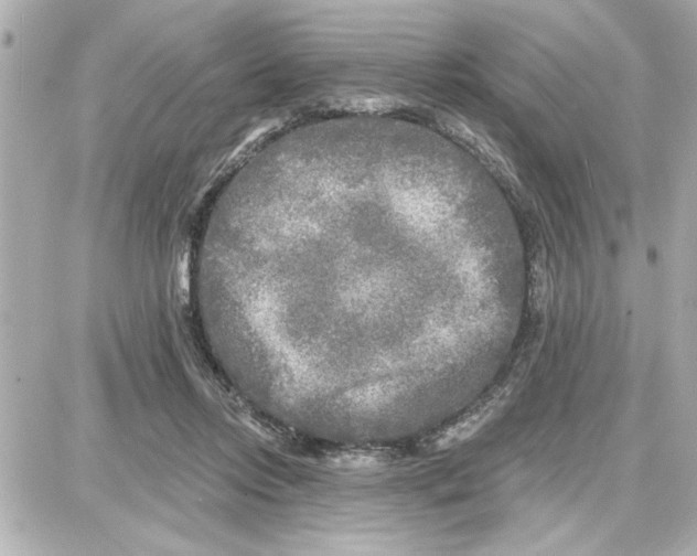 X0000087680358200705251649