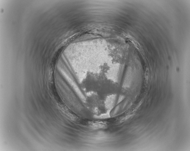 X0000087680359200705251649