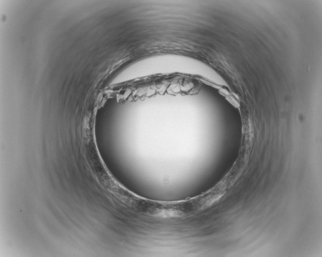 X0000087680360200705251649