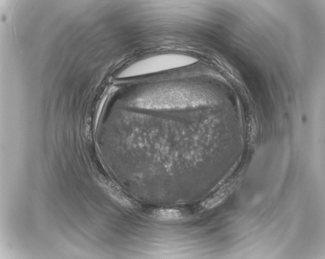 X0000087680361200705251649