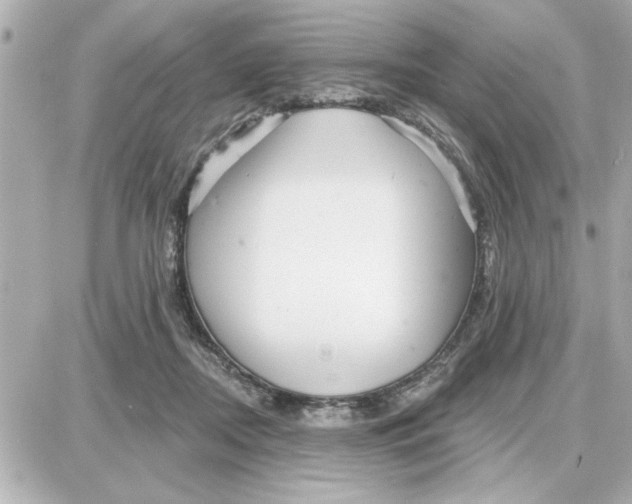 X0000087680362200705251649