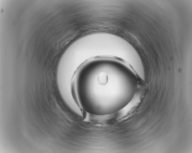 X0000087680364200705251649