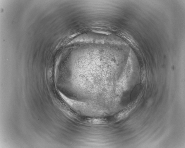 X0000087680365200705251649