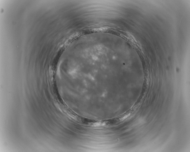 X0000087680366200705251649