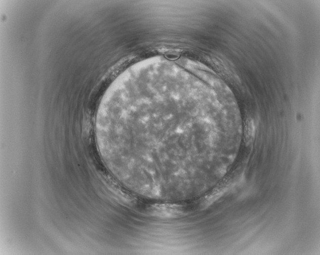 X0000087680367200705251649