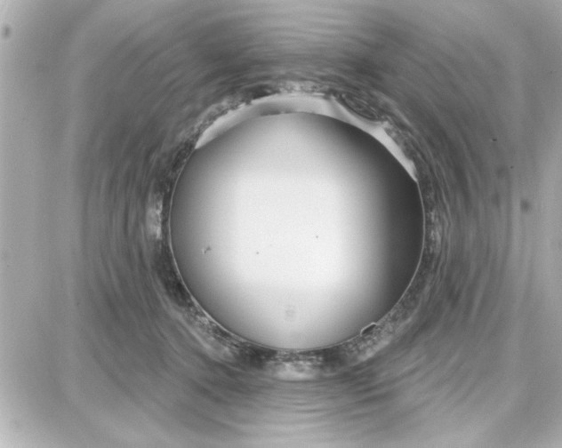 X0000087680368200705251649