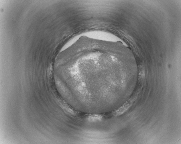 X0000087680369200705251650