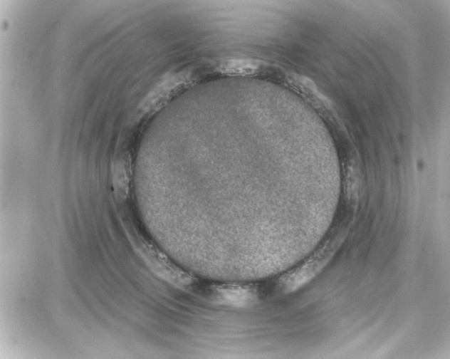 X0000087680370200705251650