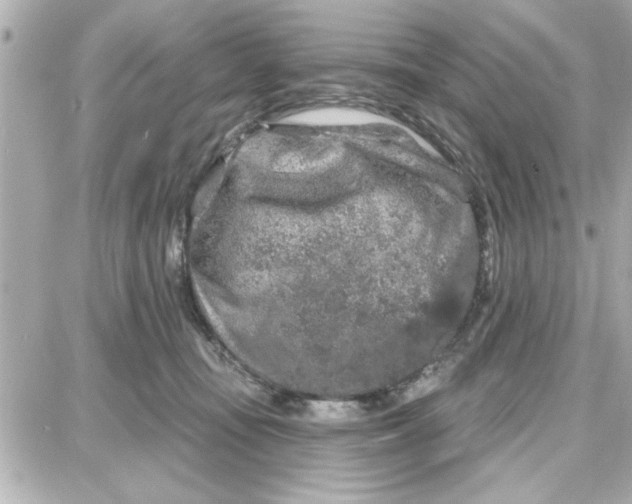 X0000087680371200705251650