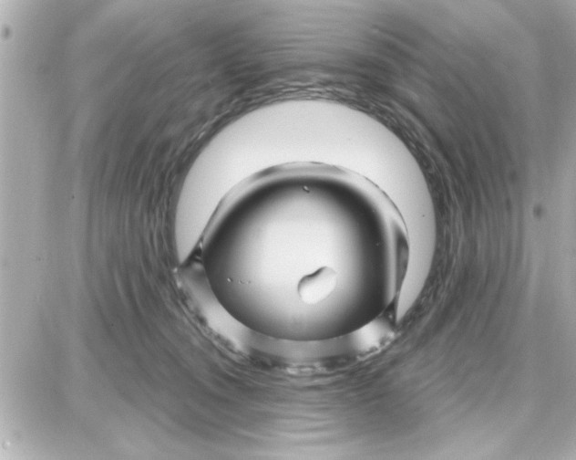 X0000087680372200705251650