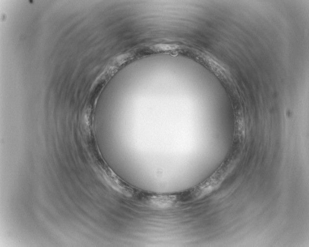 X0000087680373200705251650