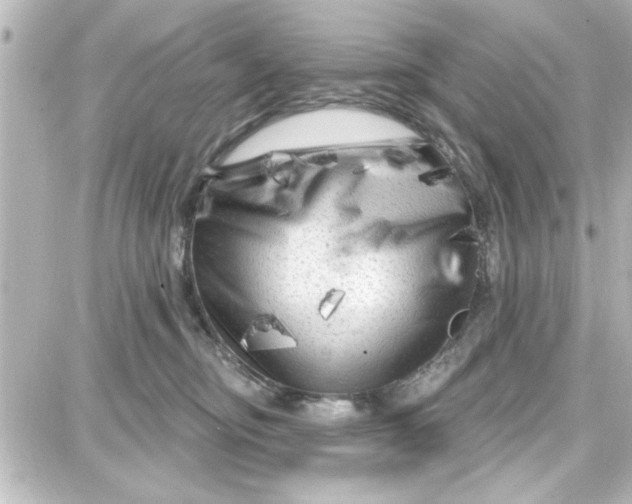 X0000087680374200705251650