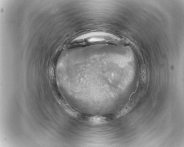 X0000087680375200705251650