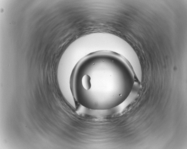 X0000087680376200705251650