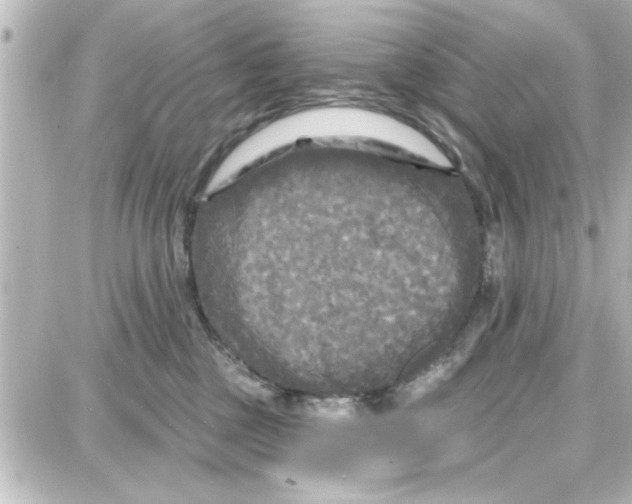 X0000087680377200705251650