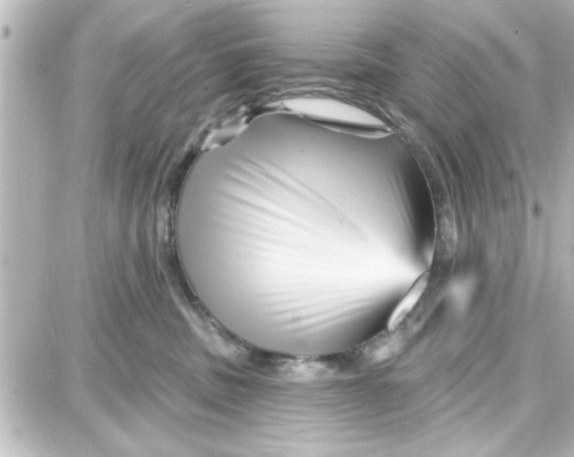 X0000087680379200705251650