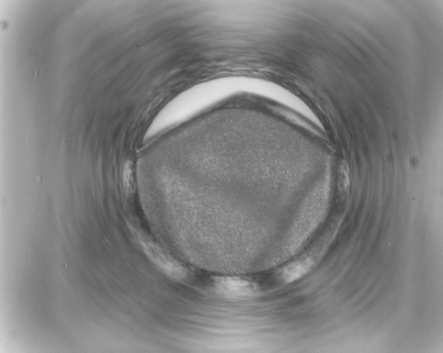 X0000087680380200705251650