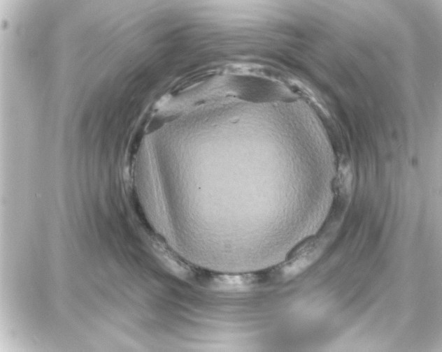 X0000087680381200705251650