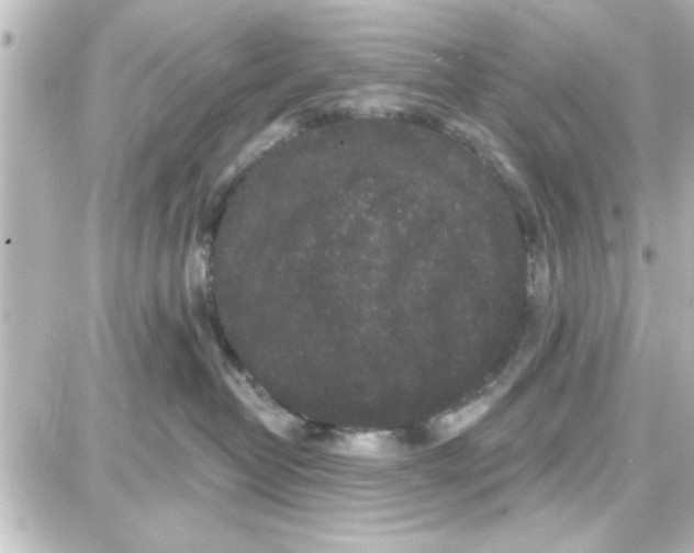 X0000087680382200705251650