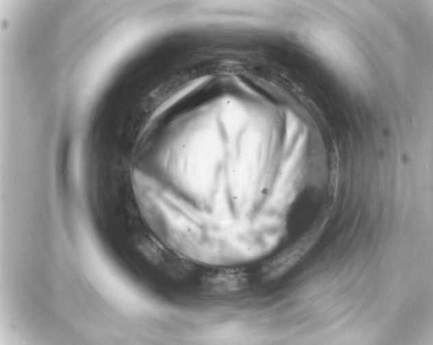 X0000087680383200705251650