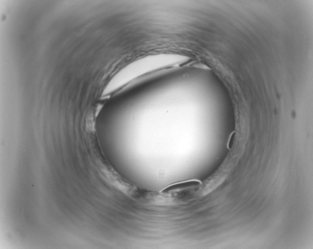 X0000087680384200705251650