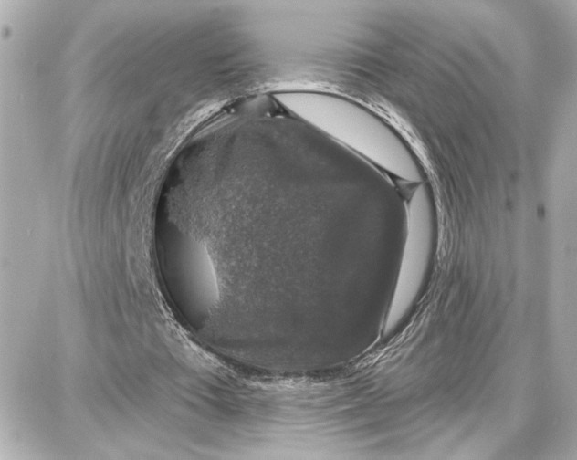 X0000087680385200705251649