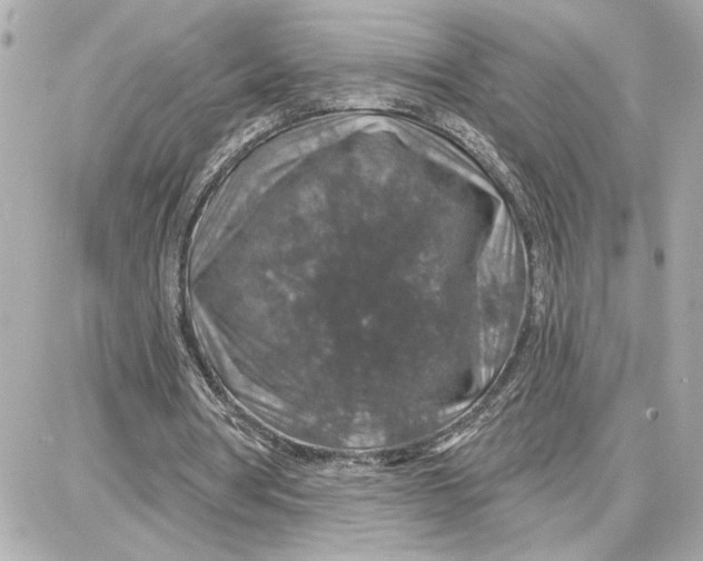 X0000087680386200705251649