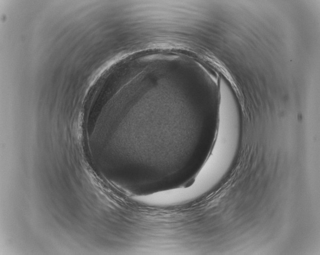 X0000087680387200705251649