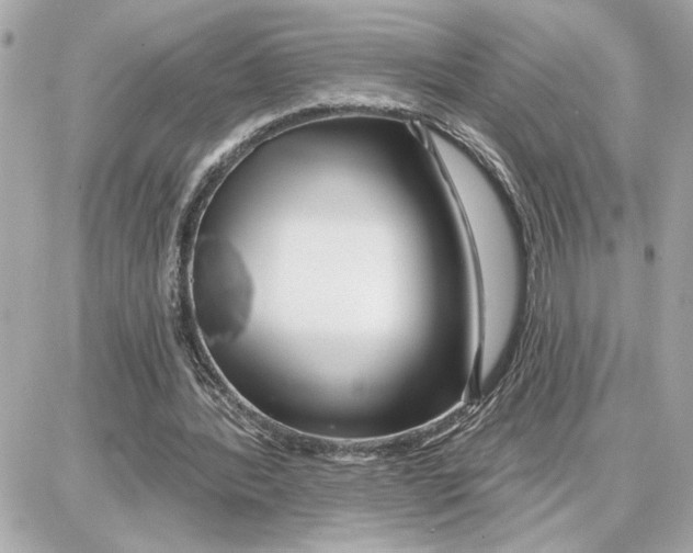 X0000087680388200705251649