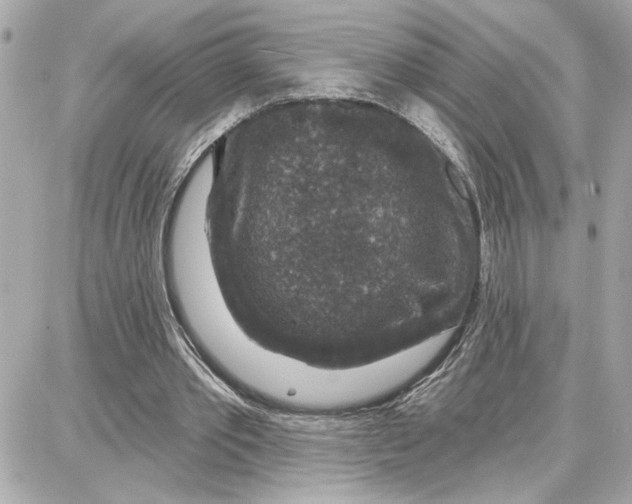 X0000087680389200705251649