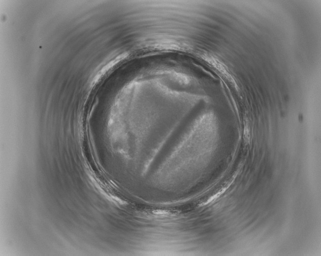 X0000087680390200705251649