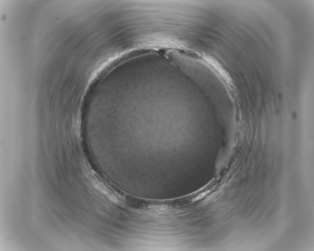 X0000087680391200705251649