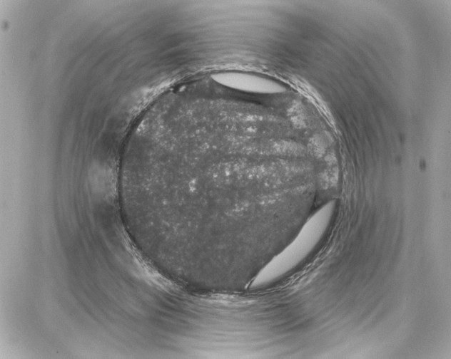 X0000087680393200705251649