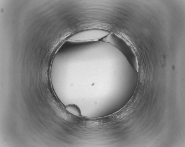 X0000087680394200705251649