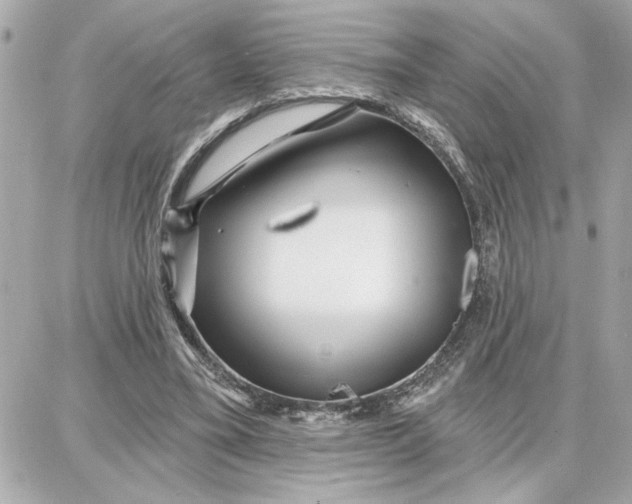 X0000087680395200705251649