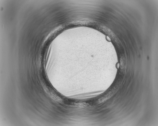 X0000087680396200705251649