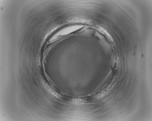 X0000087680399200705251649