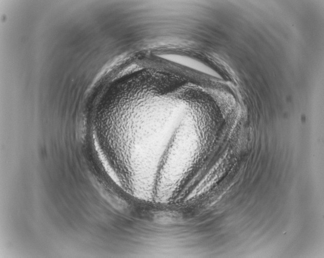 X0000087680400200705251649