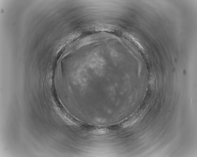 X0000087680402200705251649