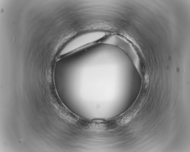 X0000087680403200705251649