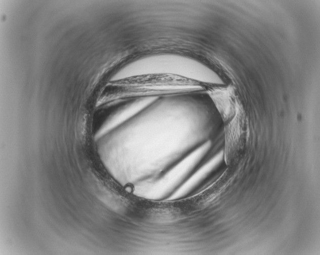 X0000087680404200705251649