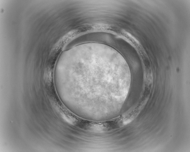 X0000087680405200705251649