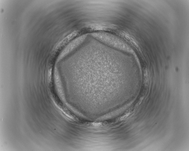 X0000087680406200705251649