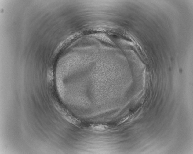 X0000087680407200705251649