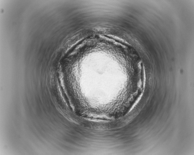 X0000087680408200705251649