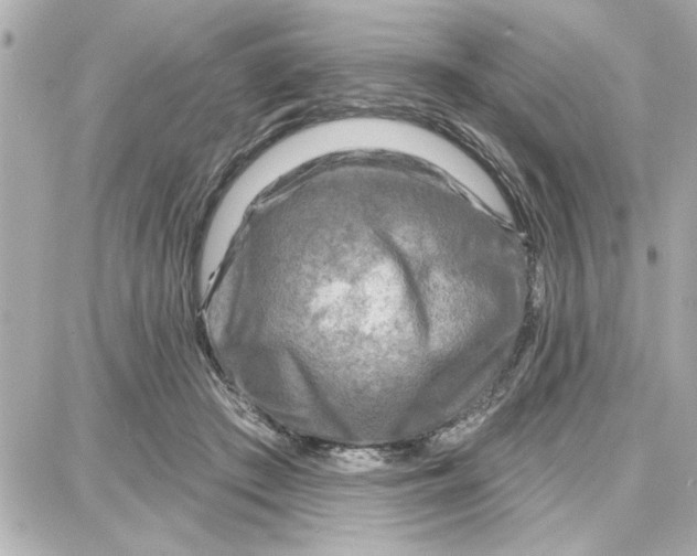 X0000087680409200705251649