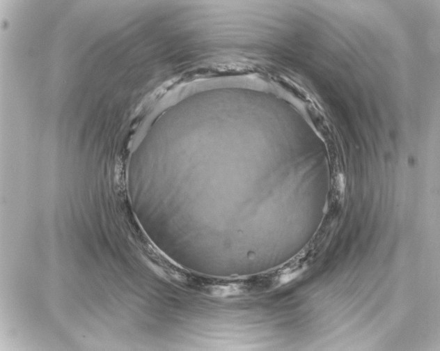 X0000087680411200705251649