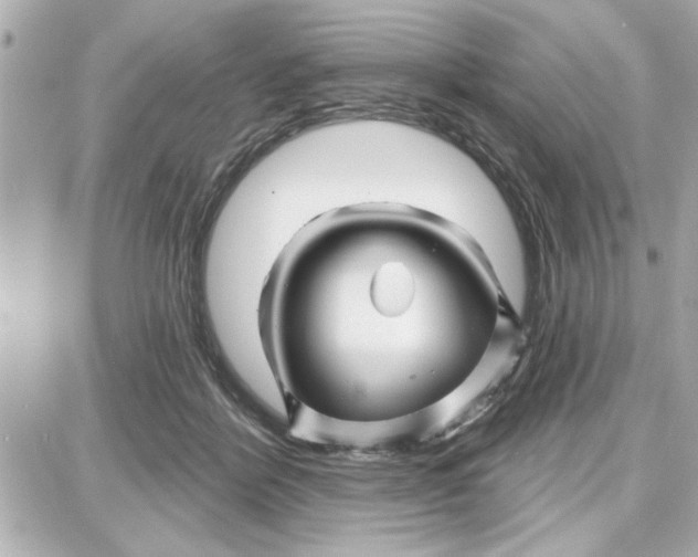 X0000087680412200705251649